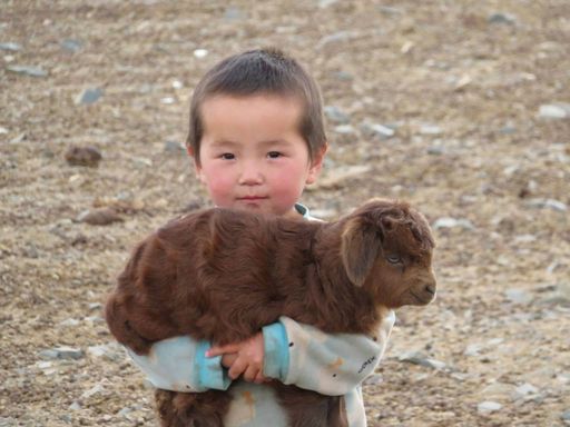 Rural Mongolia
