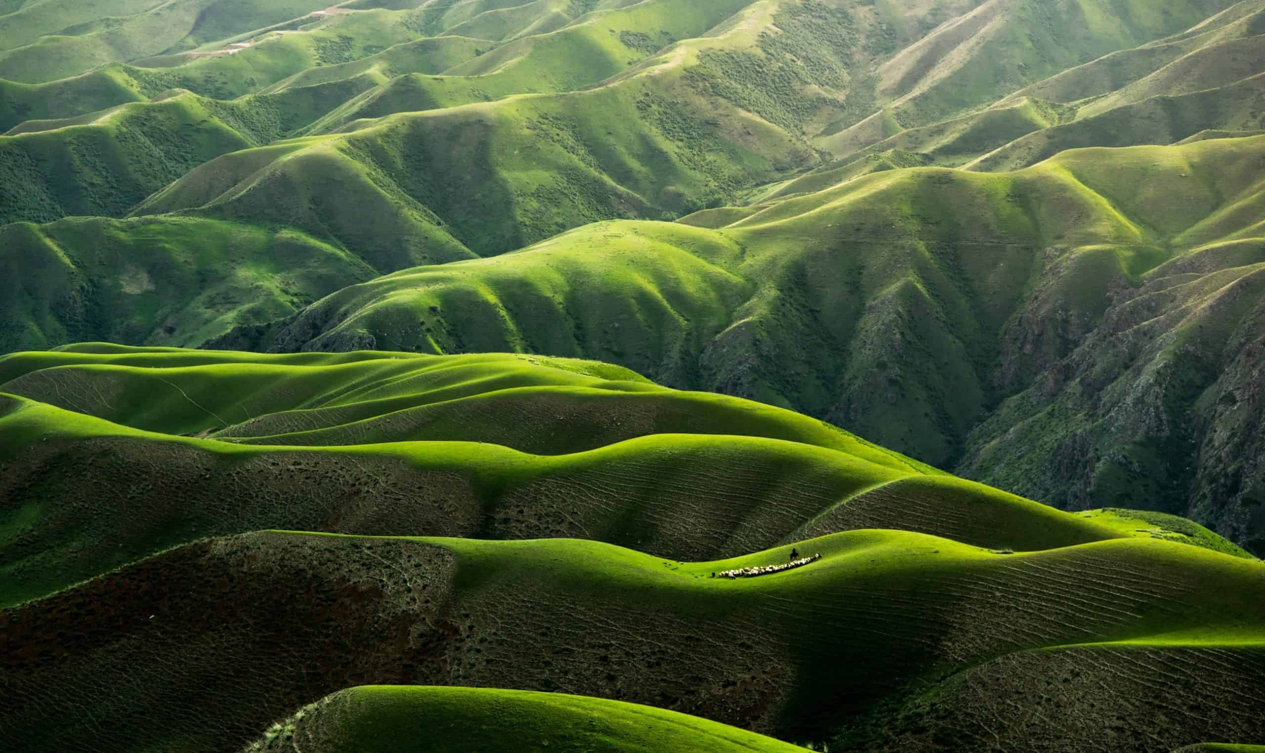 Grassland of China
