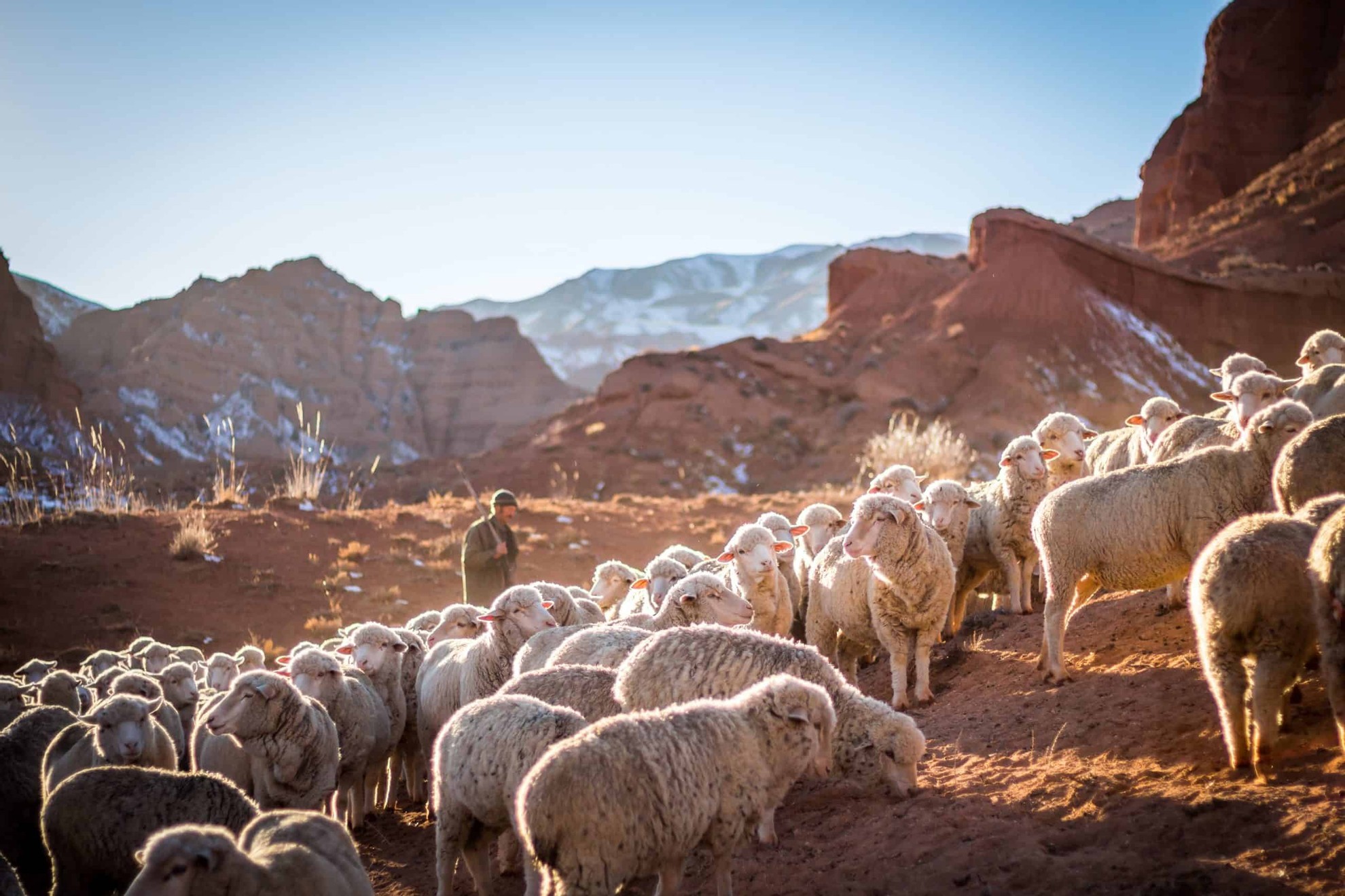 Rural herder in Kyrgyzstan
