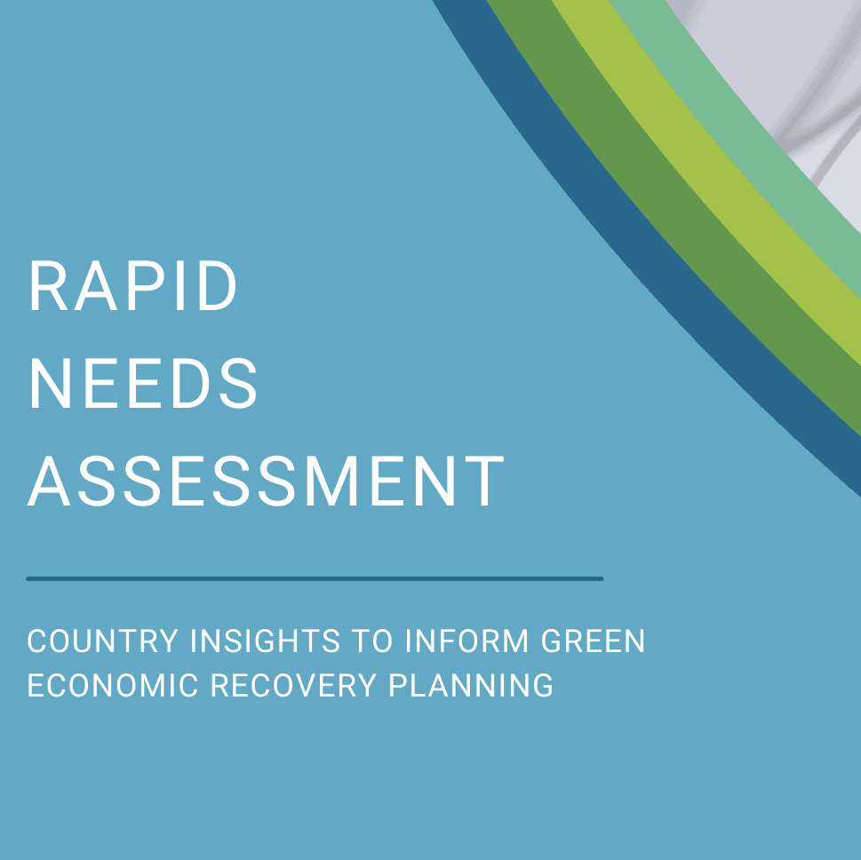 PAGE Needs Assessment - Gathering insights to address green recovery